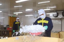 1.000 doanh nghiệp tiên phong tạo bệ phóng nâng tầm doanh nghiệp Việt