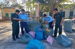 Siết chặt quản l&yacute;, kh&ocirc;ng tạo th&ecirc;m khoảng trống cho thuốc l&aacute; lậu 'mở rộng'