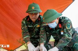 ADN mở lối cho những cuộc đoàn tụ sau hơn nửa thế kỷ