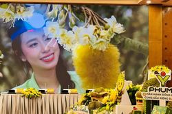 Lễ hội Sầu ri&ecirc;ng Đắk Lắk 2026: Quảng b&aacute; điểm đến kết nối khu vực T&acirc;y Nguy&ecirc;n
