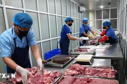 N&acirc;ng cao nhận thức, thay đổi h&agrave;nh vi của to&agrave;n x&atilde; hội về an to&agrave;n thực phẩm