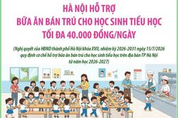 Hà Nội hỗ trợ bữa ăn bán trú cho học sinh tiểu học tối đa 40.000 đồng/ngày
