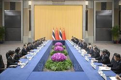 Thái Lan, Trung Quốc tăng cường hợp tác về nông nghiệp