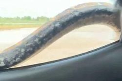 Đang lái xe, nam tài xế bỗng thấy cảnh tượng 'nổi da gà' trên cửa kính ô tô