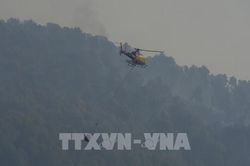 Cháy rừng dữ dội tại Tây Ban Nha và Pháp