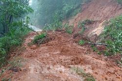 Quảng Ninh chủ động ứng phó với mưa lớn, lũ và sạt lở đất
