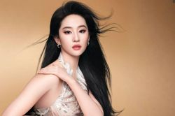 6 năm đáng tiếc của Lưu Diệc Phi