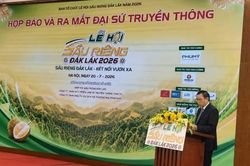 Lễ hội Sầu ri&ecirc;ng Đắk Lắk năm 2026: Kết nối vươn xa