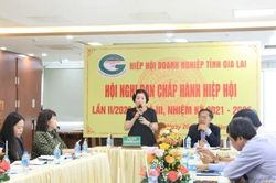 Hiệp hội Doanh nghiệp tỉnh Gia Lai vượt khó, tạo sức bật chặng đường mới