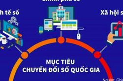 Chiến lược chuyển đổi số quốc gia đặt mục tiêu hỗ trợ 500.000 doanh nghiệp