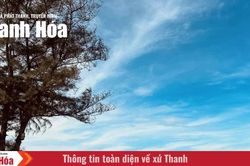 Theo ch&acirc;n nắng h&egrave; kh&aacute;m ph&aacute; B&atilde;i Đ&ocirc;ng