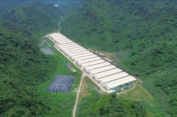 Khẩn trương điều tra, l&agrave;m r&otilde; vụ tai nạn lao động l&agrave;m 5 c&ocirc;ng nh&acirc;n tử vong ở Thanh H&oacute;a
