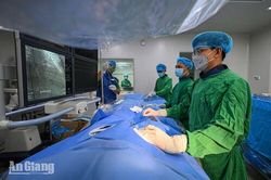 Chuyển đổi số y tế An Giang: Kiến tạo nền y tế thông minh vì dân - Bài 1: Dữ liệu mở đường cho y tế cơ sở