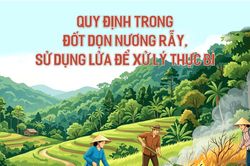Quy định trong đốt dọn nương rẫy, sử dụng lửa để xử lý thực bì