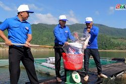 Thanh niên Vĩnh Thạnh làm giàu từ cá diêu hồng trên hồ Định Bình