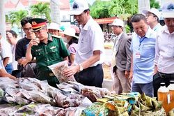 Hội chợ nông sản Kbang có quy mô 100-120 gian hàng