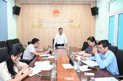 Phường Nam Nha Trang rà soát tình hình thực hiện công tác thống kê