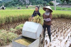 Xuống đồng kịp vụ