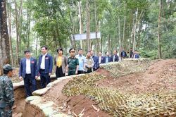 Diễn tập điểm, phép thử từ địa phương