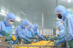 Nghị quyết 10 mở lối để doanh nghiệp Lâm Đồng tham gia sâu chuỗi FDI