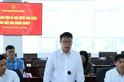 Lâm Đồng tập trung tháo gỡ khó khăn, tạo điều kiện cho doanh nghiệp phát triển