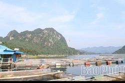 Tân Mai nỗ lực giảm nghèo