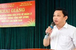 Khai giảng lớp huấn luyện nông dân về quản lý sức khỏe cây trồng tổng hợp