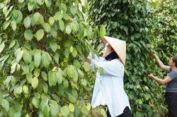 Thay đổi tư duy sản xuất