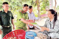 Mượn danh bảo vệ nhân quyền để vu khống, chống phá Việt Nam