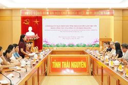 Thái Nguyên thúc đẩy hợp tác với Công ty Welltea phát triển chuỗi giá trị chè