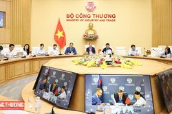 Thứ trưởng Nguyễn Hoàng Long làm việc trực tuyến với Bộ Năng lượng Liên bang Nga