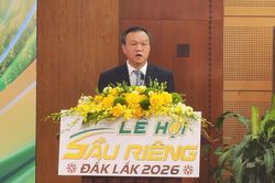 Lễ hội Sầu ri&ecirc;ng Đắk Lắk 2026 c&oacute; g&igrave;?