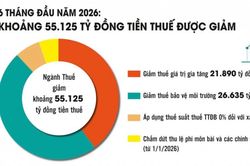 'Chân đế' giữ ổn định nguồn thu ngân sách vững chắc