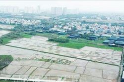 Định giá đất vẫn 'kẹt' vì thiếu dữ liệu thị trường