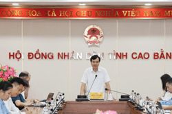 Cao Bằng: Tăng cường phối hợp giải quyết khiếu nại, tố cáo theo đúng chức năng quyền hạn được giao