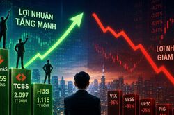 Lợi nhuận ngành chứng khoán phân hóa mạnh: Có công ty lãi hơn 2.000 tỷ, nhiều 'tên tuổi' giảm tới 95%