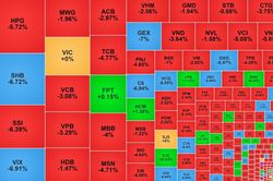 VN-Index giảm mạnh, 50 mã nằm sàn