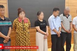 Khởi tố nhóm đối tượng tiêu thụ hơn 250 tấn lợn nhiễm dịch tả lợn châu Phi