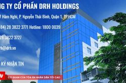 DRH Holdings bị phạt 185 triệu đồng vì vi phạm công bố thông tin