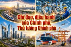 Chỉ đạo, điều hành của Chính phủ, Thủ tướng Chính phủ nổi bật tuần từ 11-17/7