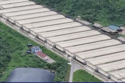 Bệnh viện Bạch Mai thông tin về vụ tai nạn thảm khốc tại trang trại chăn nuôi lợn ở Thanh Hóa