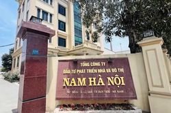 C&ocirc;ng ty Nam H&agrave; Nội b&aacute;o lỗ qu&yacute; II doanh thu giảm 94%