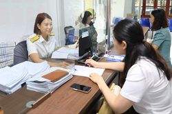 H&agrave; Nội triển khai chiến dịch l&agrave;m sạch m&atilde; số thuế