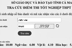 Vụ phản ánh thi tốt nghiệp ở Cà Mau: Học sinh thừa nhận gian lận bằng điện thoại, sẽ hủy kết quả thi
