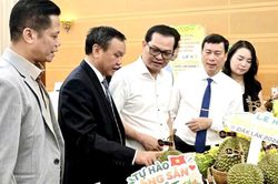 Lễ hội Sầu riêng Đắk Lắk năm 2026 với chủ đề 'Sầu riêng Đắk Lắk - Kết nối vươn xa'