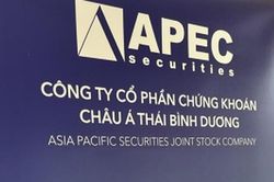 Ho&agrave;n nhập chi ph&iacute; đột biến, Chứng kho&aacute;n Apec (APS) tho&aacute;t lỗ qu&yacute; II/2026