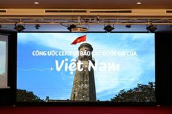 Nâng cao chất lượng dữ liệu phục vụ xây dựng Báo cáo quốc gia thực hiện Công ước CERD