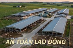 Khẩn trương khắc phục hậu quả v&agrave; tăng cường c&ocirc;ng t&aacute;c an to&agrave;n, vệ sinh lao động