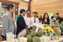 Lễ hội Sầu riêng Đắk Lắk 2026: Quảng bá thương hiệu, kết nối thị trường, thúc đẩy du lịch
