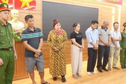 Quảng Trị: Khởi tố nhóm đối tượng tiêu thụ hơn 250 tấn lợn bị nhiễm dịch tả lợn Châu Phi